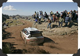 Sebastien Loeb
(Click picture to see larger version in a pop-up window)
