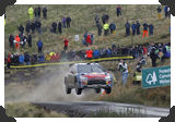 Sebastien Loeb
(Click picture to see larger version in a pop-up window)