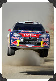 Sebastien Loeb
(Click picture to see larger version in a pop-up window)