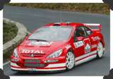 307WRC
(Click picture to see larger version in a pop-up window)