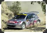 206wrc 2001
(Click picture to see larger version in a pop-up window)