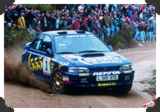 Carlos Sainz
(Click picture to see larger version in a pop-up window)