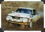 Hannu Mikkola
(Click picture to see larger version in a pop-up window)