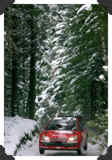 Narrow roads
(Click picture to see larger version in a pop-up window)