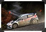 Elfyn Evans
(Click picture to see larger version in a pop-up window)