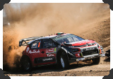 Craig Breen
(Click picture to see larger version in a pop-up window)