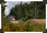 Artificial jumps
(Click picture to see larger version in a pop-up window)