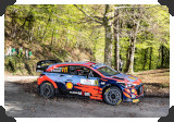 Thierry Neuville
(Click picture to see larger version in a pop-up window)