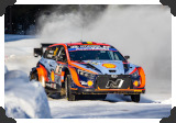 Thierry Neuville
(Click picture to see larger version in a pop-up window)