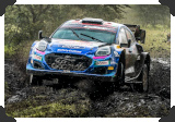 Ott Tanak
(Click picture to see larger version in a pop-up window)