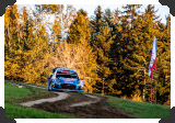 Ott Tanak and road pollution
(Click picture to see larger version in a pop-up window)
